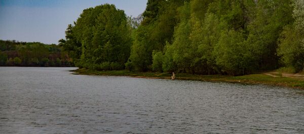 Rîul Nistru - Sputnik Moldova