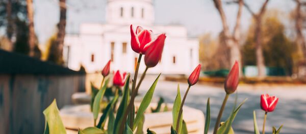 Catedrala Mitropolitană din Chișinău - Sputnik Moldova