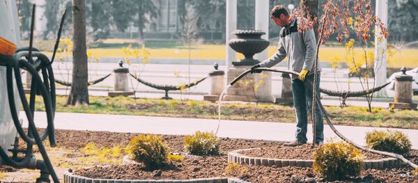 Angajat din domeniul gospodăriei comunale - Sputnik Moldova