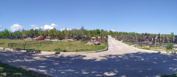 Cimitirul Doina Cimitirul Doina - Sputnik Moldova