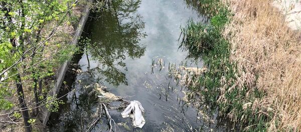 Река Бык в Кишиневе, архивное фото. Река Бык в Кишиневе, архивное фото. - Sputnik Молдова