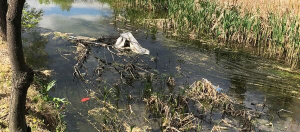 Râul Bâc  - Sputnik Moldova