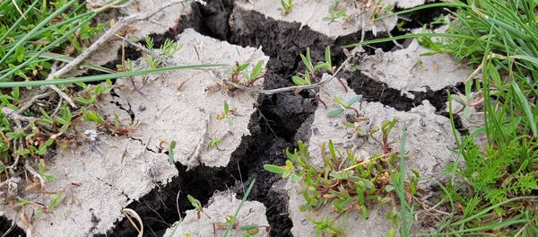 Засуха Засуха - Sputnik Moldova