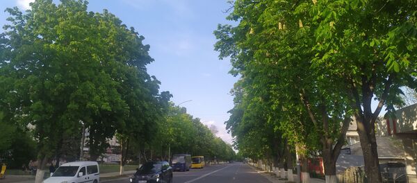 Primăvară - Sputnik Moldova-România