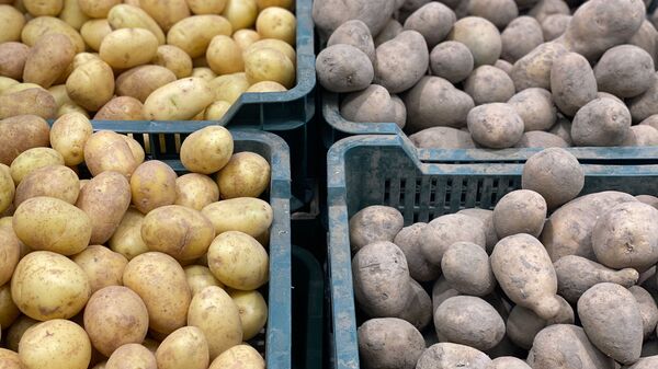 Pe rafturile magazinelor sunt deja cartofi noi - Sputnik Moldova-România