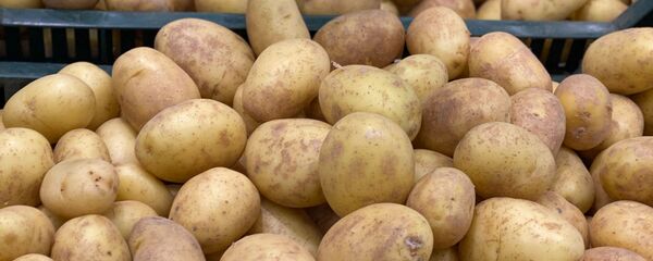 Pe rafturile magazinelor sunt deja cartofi noi - Sputnik Молдова