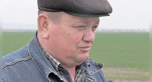Прошедшие дожди не спасли аграриев от проблем: что говорят производители - Sputnik Молдова