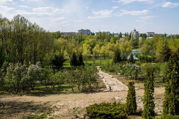 Главный Ботанический сад: под жестким карантином и после его смягчения - фото Главный Ботанический сад: под жестким карантином и после его смягчения - фото - Sputnik Молдова