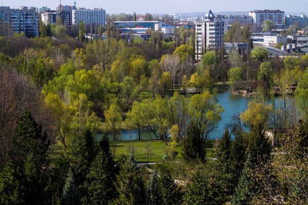 Главный Ботанический сад: под жестким карантином и после его смягчения - фото Главный Ботанический сад: под жестким карантином и после его смягчения - фото - Sputnik Молдова