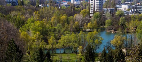 Ботанический сад Ботанический сад - Sputnik Молдова