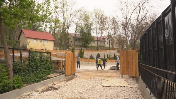 Времени не теряют: в кишиневском зоопарке обустраивают новые вольеры Времени не теряют: в кишиневском зоопарке обустраивают новые вольеры - Sputnik Молдова