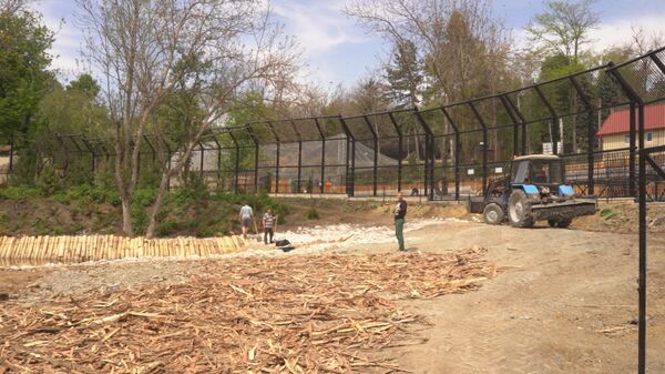 Времени не теряют: в кишиневском зоопарке обустраивают новые вольеры Времени не теряют: в кишиневском зоопарке обустраивают новые вольеры - Sputnik Молдова