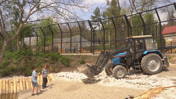 Времени не теряют: в кишиневском зоопарке обустраивают новые вольеры Времени не теряют: в кишиневском зоопарке обустраивают новые вольеры - Sputnik Молдова