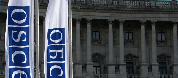 Флаги ОБСЕ - Sputnik Молдова