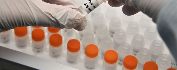 Колбы с реагентами для экспресс-тестов на коронавирус в лаборатории - Sputnik Молдова