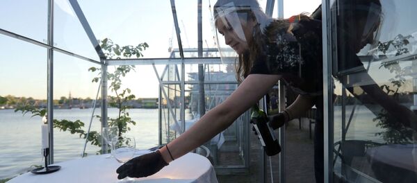 Официантка во время работы в ресторане в формате «карантинных теплиц» в Амстердаме - Sputnik Moldova