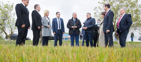 Președintele țării, Igor Dodon, se află într-o vizită de lucru în UTA Găgăuzia - Sputnik Moldova