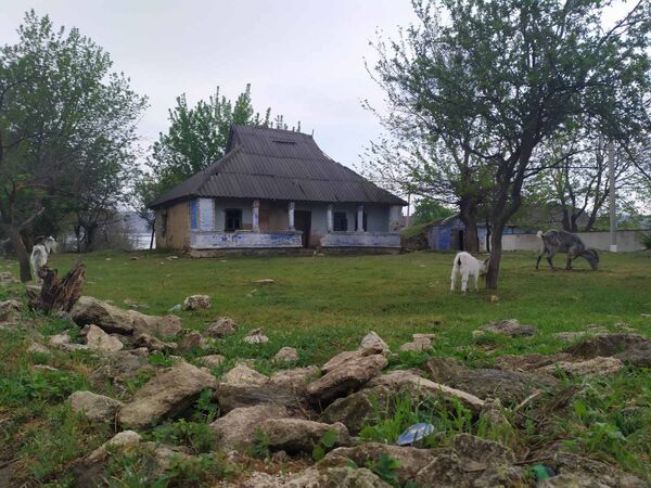 Casele părăsite de la sate pot deveni adevărate bijuterii turistice : Foto Casele părăsite de la sate pot deveni adevărate bijuterii turistice : Foto - Sputnik Moldova