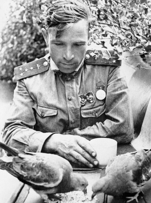 Штурман 263-го истребительного авиационного полка, капитан Виктор Васильевич Попов, 1943 год - Sputnik Moldova-România