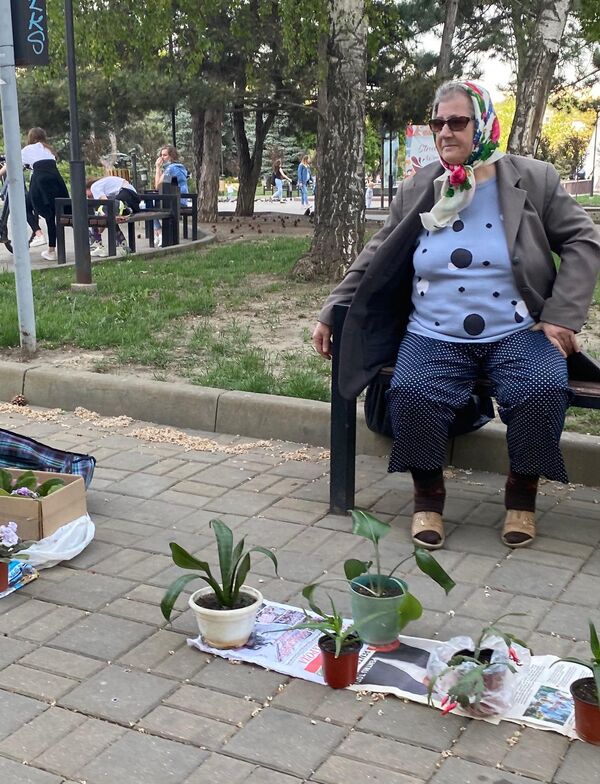 Cu frica de COVID-19, unele pensionare sunt nevoite să vândă flori pe străzile Capitalei Cu frica de COVID-19, unele pensionare sunt nevoite să vândă flori pe străzile Capitalei - Sputnik Moldova
