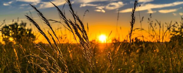 Природа Природа - Sputnik Moldova-România