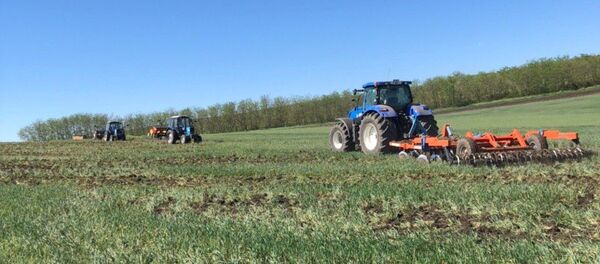  În raionul Căușeni plugarii ară semănăturile de toamnă - Sputnik Moldova