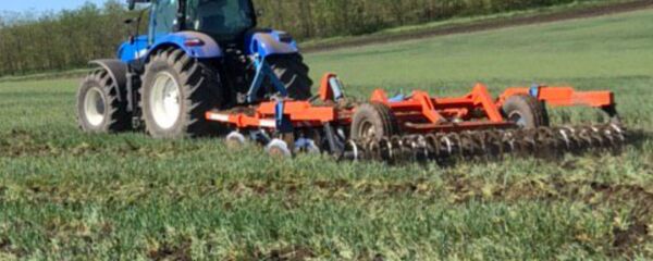 В Каушанском районе аграрии перепахивают поля, засеянные осенней пшеницей - Sputnik Молдова