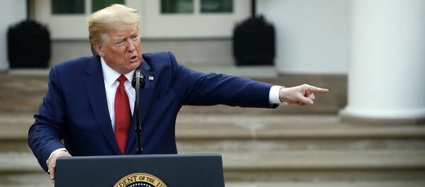 Президент Дональд Трамп на брифинге по коронавирусу в Белом Доме (29 марта 2020). Вашингтон - Sputnik Moldova-România