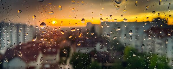 Дождь Дождь - Sputnik Moldova