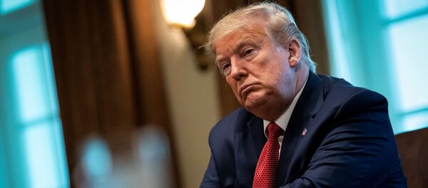 Президент США Дональд Трамп - Sputnik Молдова