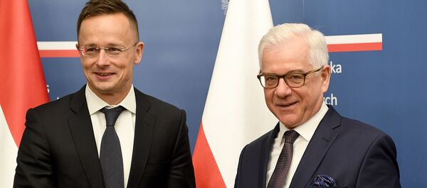 Jacek Czaputowicz și Peter Szijjarto Jacek Czaputowicz și Peter Szijjarto - Sputnik Moldova-România