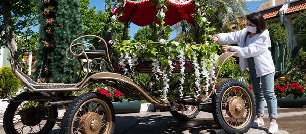 Сотрудница санатория Октябрьский в Сочи украшает карету цветами - Sputnik Moldova