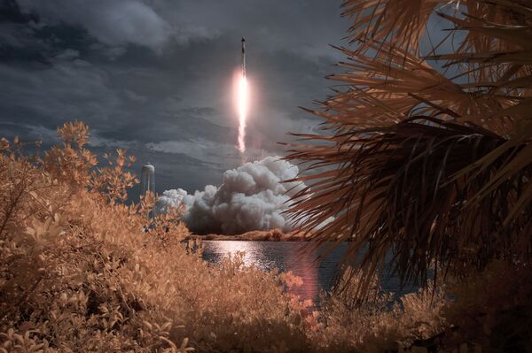 Первый пилотируемый запуск корабля Crew Dragon, созданного компанией SpaceX Илона Маска - Sputnik Молдова