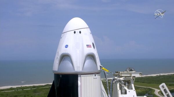 Корабль Crew Dragon, созданный компанией SpaceX Илона Маска - Sputnik Moldova-România
