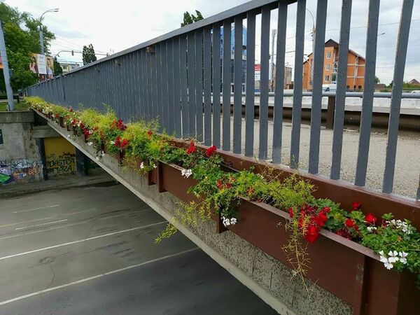 Podul din cartierul Telecentru al Capitalei a fost decorat cu flori: Iată cum arată acum Podul din cartierul Telecentru al Capitalei a fost decorat cu flori: Iată cum arată acum - Sputnik Moldova