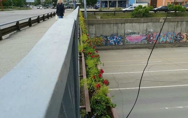Podul din cartierul Telecentru a fost decorat cu flori  - Sputnik Молдова