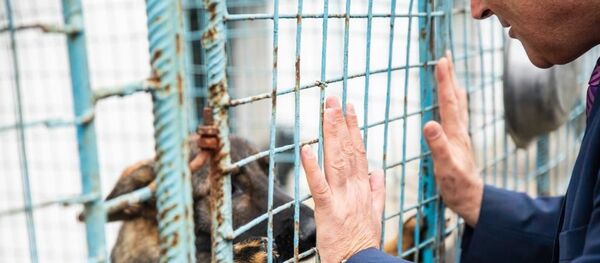 Marcel Vela Marcel Vela - Sputnik Moldova-România