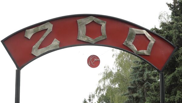 Кишиневский зоопарк вновь открыт: его можно посетить, но с условиями - Sputnik Молдова