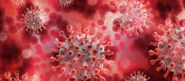 Coronavirus (image d'illustration) Coronavirus (image d'illustration) - Sputnik Moldova-România