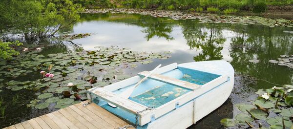 Lacul cu nuferi din Bardar, un loc de poveste Lacul cu nuferi din Bardar, un loc de poveste - Sputnik Moldova