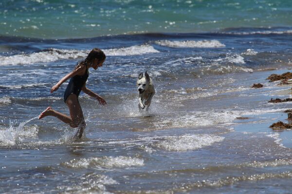 Девочка играет с собакой на пляже в Евпатории, Крым - Sputnik Молдова