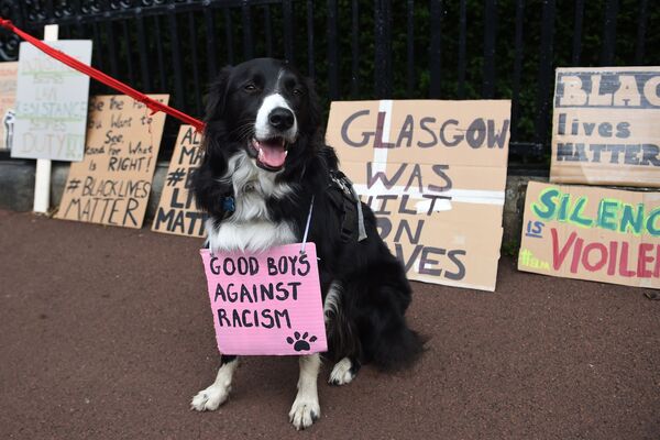 Собака с плакатом Хорошие мальчики против расизма во время демонстрации в поддержку движения Black Lives Matter в Эдинбурге - Sputnik Молдова