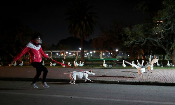 Женщина в защитной маске во время прогулки с собакой в Буэнос-Айресе, Аргентина - Sputnik Молдова
