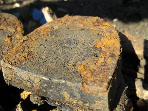 Солдатские лапти Солдатские лапти - Sputnik Молдова