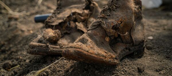 Не дошел солдат до Победы... Не дошел солдат до Победы... - Sputnik Молдова