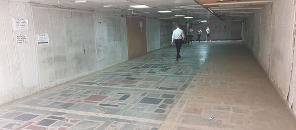 Trecerea subterană din strada Alecu Russo - Sputnik Moldova