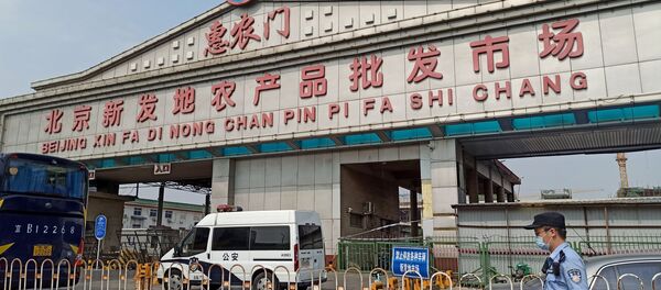 рынок Xinfadi - Sputnik Moldova-România