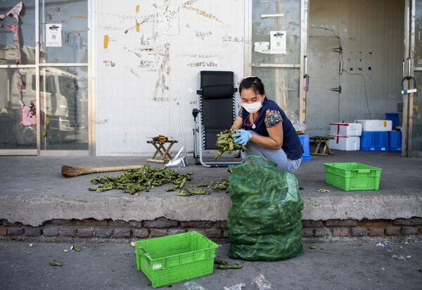 Un muncitor alege legume la piața închisă Xinfadi din Beijing - Sputnik Moldova-România