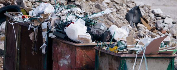 Мусорка Мусорка - Sputnik Молдова