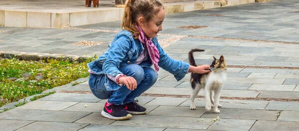 Девочка играет с кошкой Девочка играет с кошкой - Sputnik Moldova-România